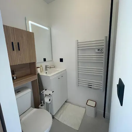 L'hirondelle Saint-Brévin-les-Pins