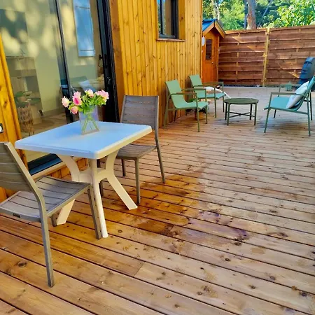 L'hirondelle Saint-Brevin-les-Pins