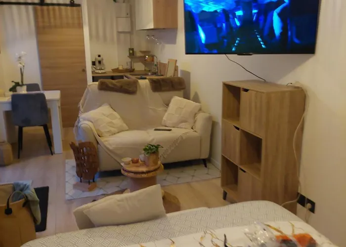 L'hirondelle Saint-Brévin-les-Pins