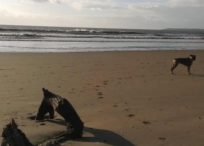 L'hirondelle * Saint-Brévin-les-Pins