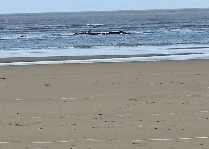 度假居 L'hirondelle